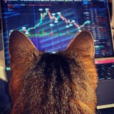 Stock Market Cyclical Analysis