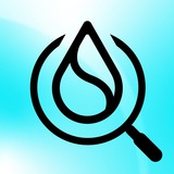 Sui Detective Channel  ️‍