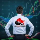 Forex News  & Anaylisis