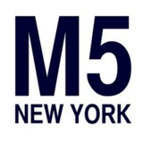 SOP - Fibo-X Strategy (Timeframe M5)Forex Line 5 (M5) Template