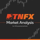Market Analysis - TNFX