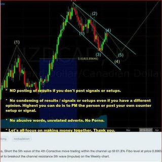Forex Traders (Price Action Traders - PAT)