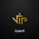 GateX  Vip