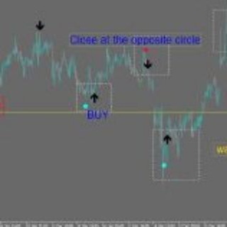 tradingforexforum.com