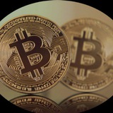 CRYPTO GOVERNOR / KRİPTO VALİSİ