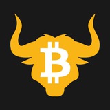 BitBulls
