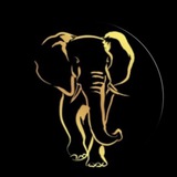 Bernie de Haldevang Official