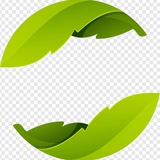 Cukong Pump & Analys