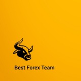 Best Forex Team 1