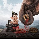 SATTA Shivaay And Team Technical Analysis