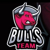 BULLS TEAM ( OFFICIAL)