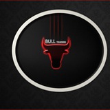 BULL TRDAERS