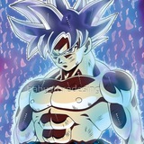 Big Potential pre-sales