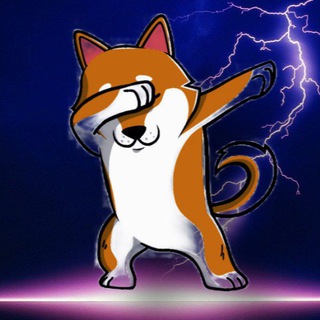 SHIBA INU KILLER Coin- Announcements & Price Analysis