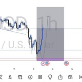 FN FOREX-PARATROOPERS