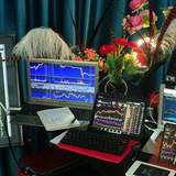 Professor Forex Trading