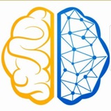 NSE - TheAlgoTrader Analysis