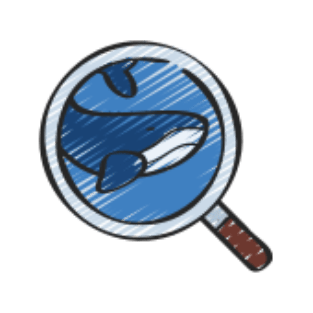 Whale Analysis