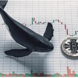 Whale power - crypto