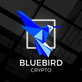 BlueBird   Signals