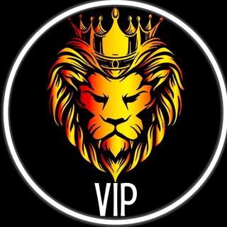 Crypto Hunters Elite | Investors