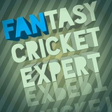 Fantasy cricket expert