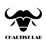 [차티스트랩] 차트분석