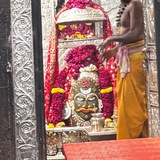 FREE TRAILS stocks/mcx/forex