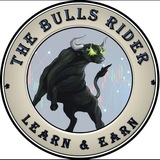 THE BULLS RIDER ACADEMY