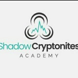Shadow Cryptonite Academy