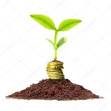 Narayana Research Analysist