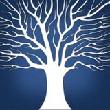 MarketWisdombyNSFidai