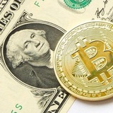 Forex Bitcoin Earners