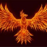 Phoenix Indicator and Strategies