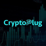 Crypto Plug