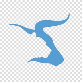 Rohin Stock Technical