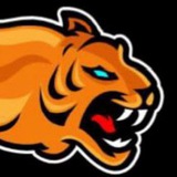 NIFTY-BANKNIFTY BLAST♠️