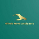 Whale Move Analyzers