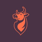 Daily Intraday Calls&Levels Stocks,Future,Opstions