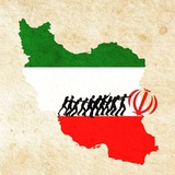 Armani_Analysis_Group