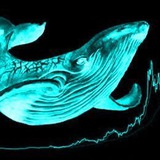 İWAN - Trading Analyszes