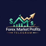 SHARE MARKET PROFITS