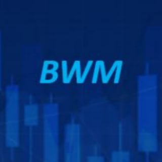 BWM (Beginners' Whitebook for Markets)